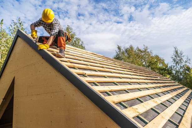 Best Roof Gutter Cleaning  in Havana, FL